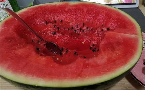 恶心想吐吃瓜,恶心想吐背后的神秘瓜果之谜